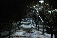 Imagine atasata: Bega - 2014.12.31 - 08.jpg